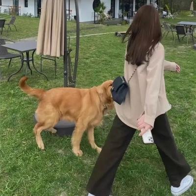 天弃之子